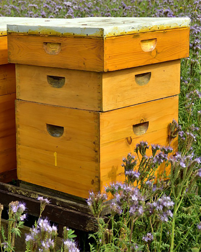 Beehive