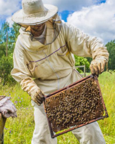 Beekeeping suit