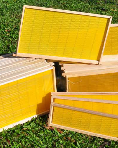 Honey frame
